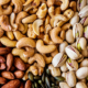 Seeds and Nuts Icon