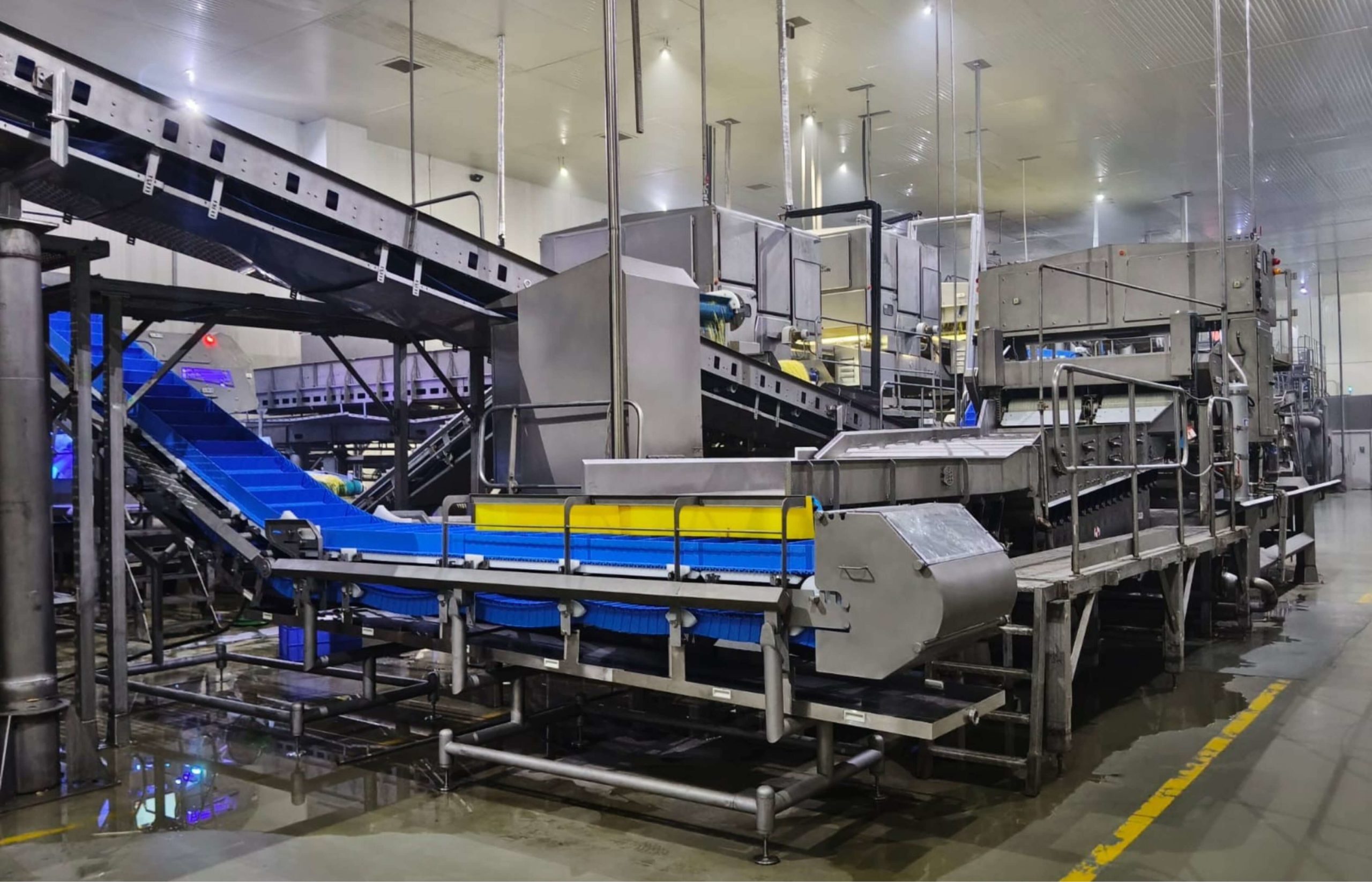 Enabling.Win hygienic conveyor systems food production line