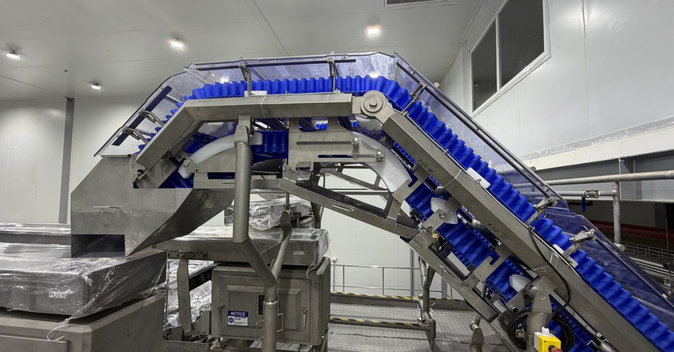Gooseneck Conveyor On Snack Manufacturer