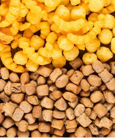 Extruded Snacks