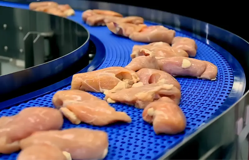 Poultry and Meat